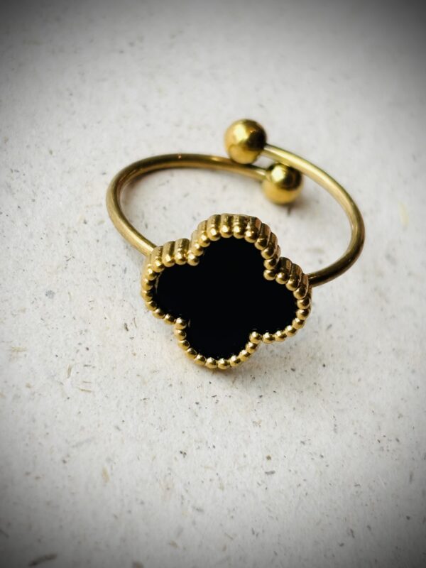 Bague ALTRUISTE noir
